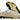 Guayos Predator Accuracy 30 Elite Dorado Blanco Sin Lengueta.