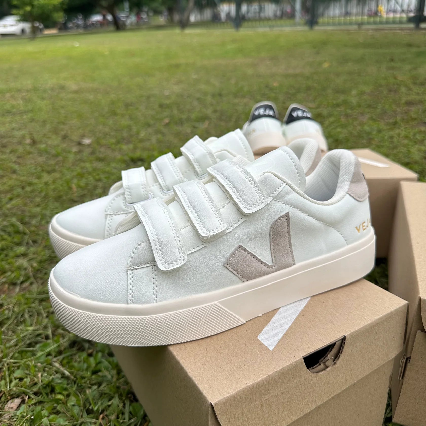 Tenis Veja Blanco Gris.